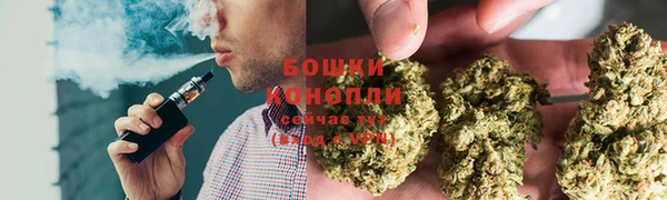 прущие грибы Белокуриха